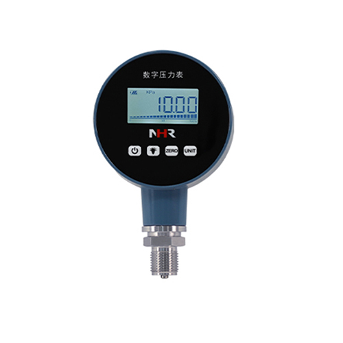 NHR-DP10系列智能数字压力表